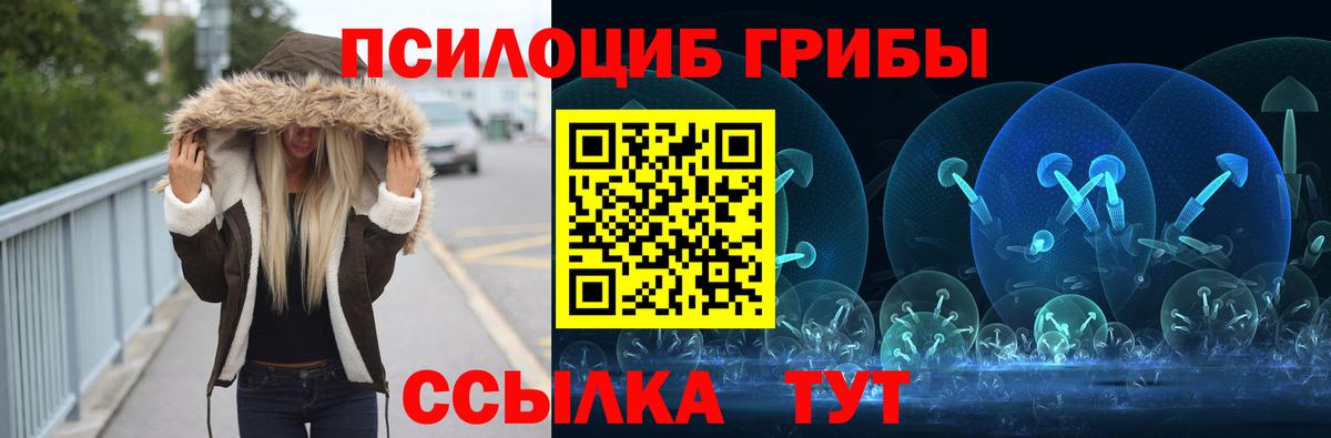 Галлюциногенные грибы мухоморы  Галлюциногенные грибы GOLDEN TEACHER  Киселёвск  Вход с VPN 